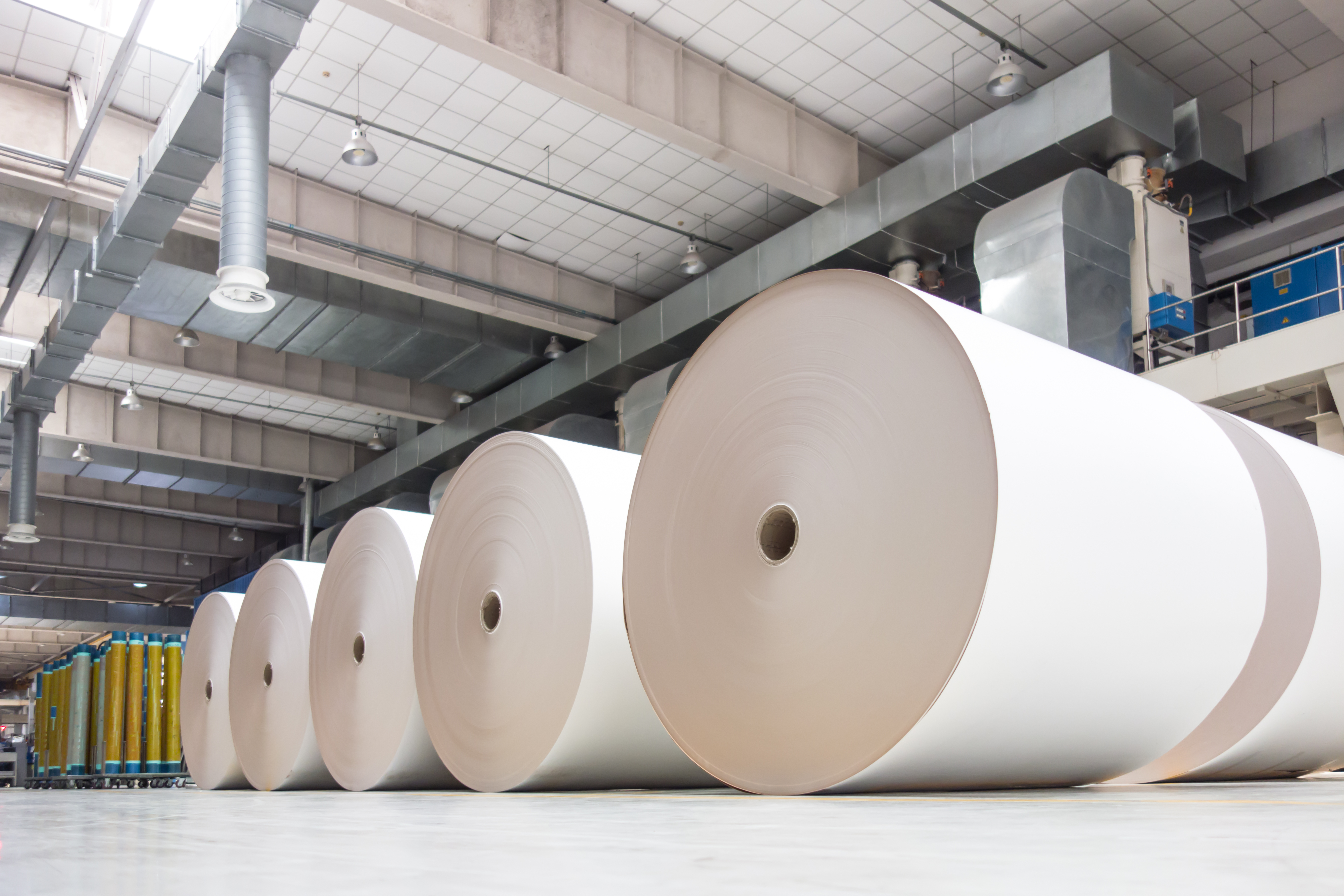 Setor papel